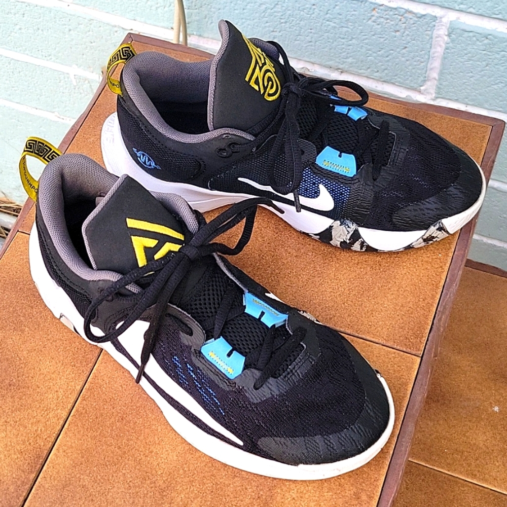 Nike Gainnis Greek black & white shoe